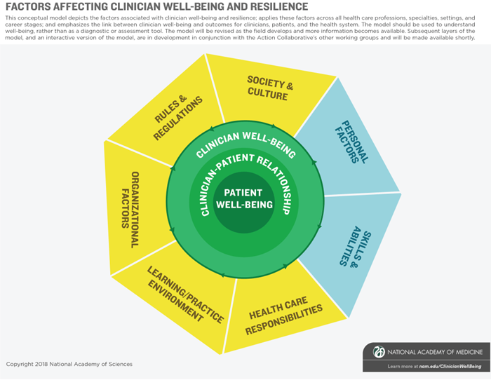 National Academy of Medicine Action Collaborative on Clinician Well-Being