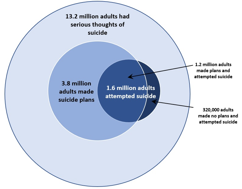 Past Year Suicidal Thoughts and Behaviors Among U.S. Adults (2022)